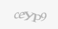 Bezpečnostný kód